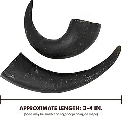 peaksNpaws All natural premium Small Dog Water Buffalo Horns Treat slide 2 of 6
