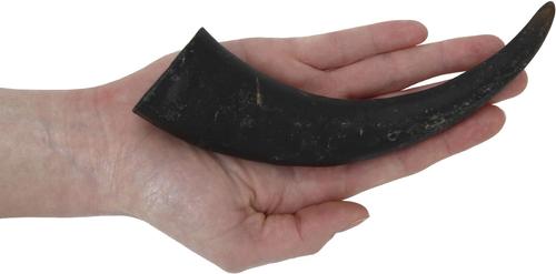 Show full view: peaksNpaws All natural premium Small Dog Water Buffalo Horns Treat slide 7 of 7