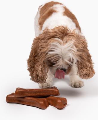 Show full view: peaksNpaws Medium Chicken Cheese Dog Chew Treat, 8.5-oz bag slide 3 of 6