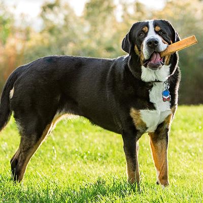 Show full view: peaksNpaws Yak Milk Jumbo Dog Value Pack Dog Chew Treats, 3 count slide 5 of 9