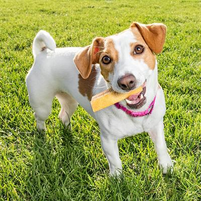 Show full view: peaksNpaws Yak Milk Small Dog Value Pack Dog Chew Treats, 9 count slide 6 of 10