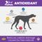 Show in main carousel: PeakTails Antioxidant Tablet Supplement for Dogs, 100 count slide 3 of 8