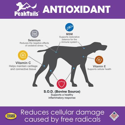 Show full view: PeakTails Antioxidant Tablet Supplement for Dogs, 100 count slide 3 of 8