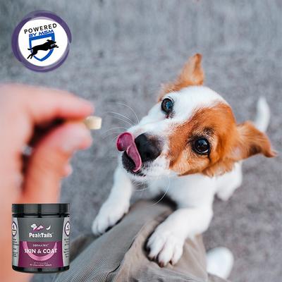 Show full view: PeakTails Dermatrix Skin & Coat Dog Supplement, 90 count slide 7 of 8