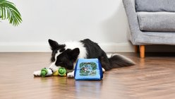 PEANUTS Adventurer Tent Burrow Squeaky Plush Dog Toy slide 2 of 5