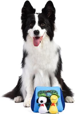 Show full view: PEANUTS Adventurer Tent Burrow Squeaky Plush Dog Toy slide 5 of 6