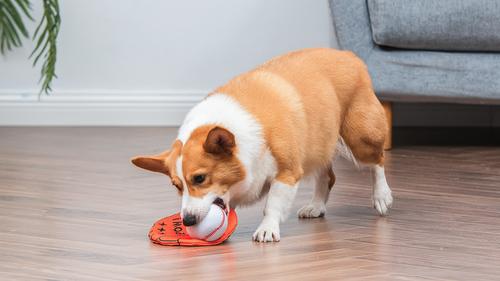 Show full view: PEANUTS Athlete Baseball Glove & Ball Squeaky Plush Dog Toy slide 5 of 5