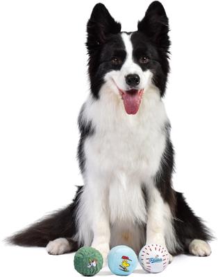 Show full view: PEANUTS Athlete Multi-Material Ball Squeaky Plush Dog Toys, 3 count slide 5 of 7