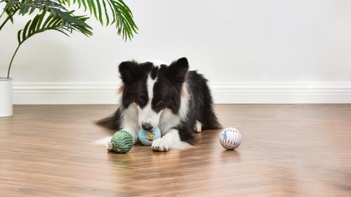 Show full view: PEANUTS Athlete Multi-Material Ball Squeaky Plush Dog Toys, 3 count slide 6 of 7