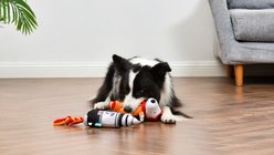 PEANUTS Space Explorer Rocket Ship & Space Explorer Snoopy Squeaky Plush Dog Toys slide 2 of 5