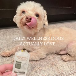Peaq Honey Bee Well Blend Infused Honey Hip & Joint Support for Dogs, 10 count slide 2 of 9