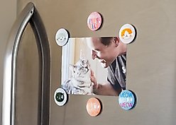 Pearhead Cat Magnets slide 2 of 3