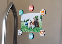 Pearhead Dog Magnets slide 2 of 6