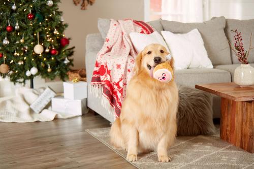 Show full view: Pearhead M.C. Hammy Dog Toy slide 4 of 6