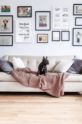 Show full view: Pearhead Pawprints Dog & Cat Wall Frame & Impression Kit, Espresso slide 8 of 11