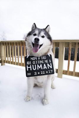 Show full view: Pearhead Pet Baby Annoucement Chalkboard slide 3 of 7