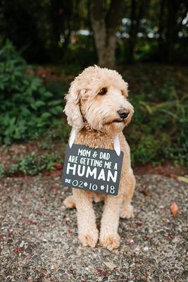 Show full view: Pearhead Pet Baby Annoucement Chalkboard slide 4 of 7