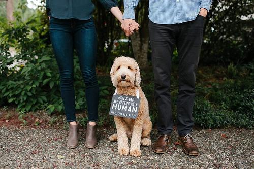 Show full view: Pearhead Pet Baby Annoucement Chalkboard slide 5 of 7