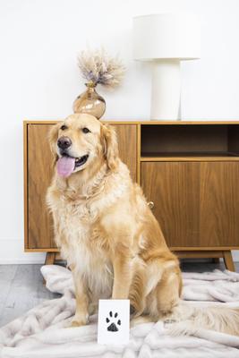 Show full view: Pearhead Pet Clean-Touch Ink Pad slide 7 of 10