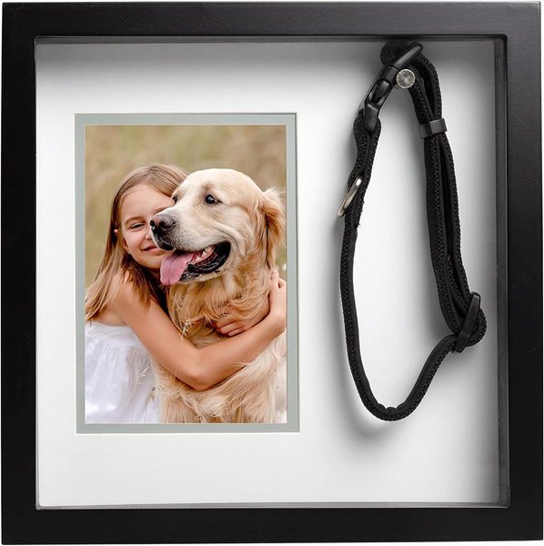 Pearhead Pet Collar Frame