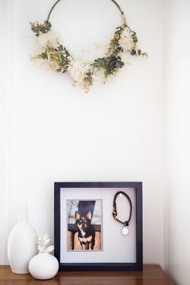 Show full view: Pearhead Pet Collar Frame slide 6 of 10