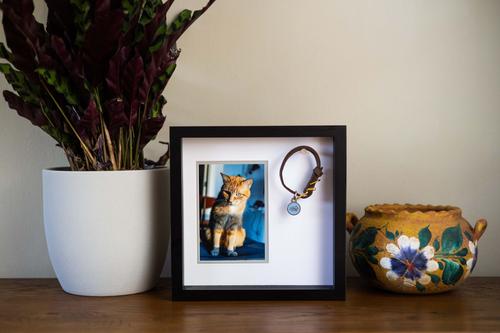 Show full view: Pearhead Pet Collar Frame slide 7 of 10