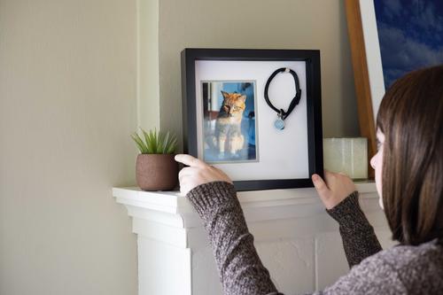 Show full view: Pearhead Pet Collar Frame slide 8 of 10