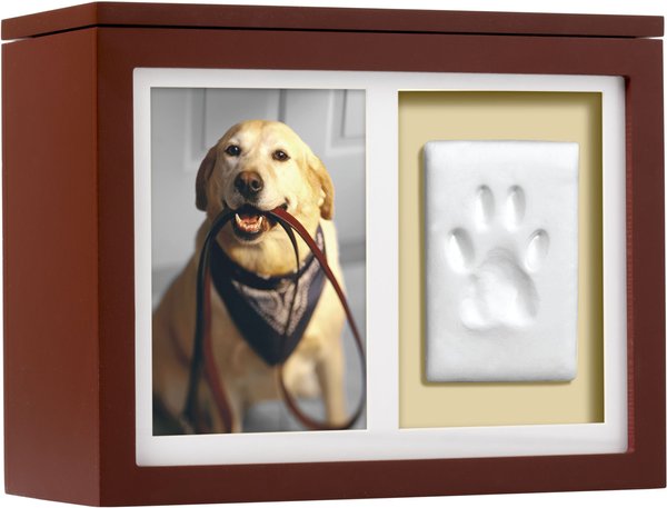 Pearhead Pet Memory Box