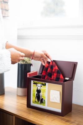 Show full view: Pearhead Pet Memory Box, Espresso slide 6 of 11