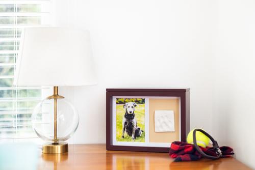 Show full view: Pearhead Pet Memory Box, Espresso slide 7 of 11