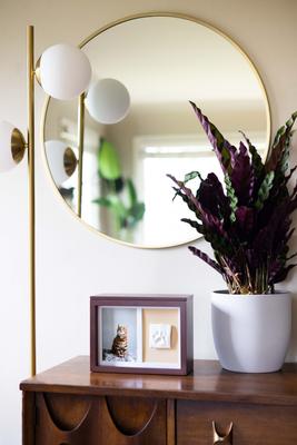 Show full view: Pearhead Pet Memory Box, Espresso slide 8 of 11