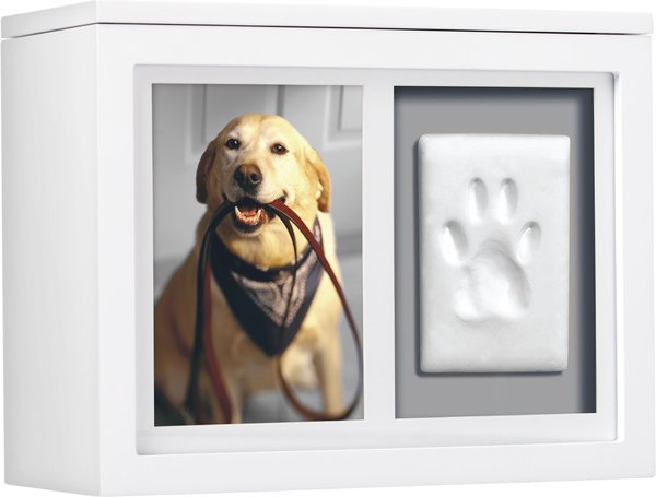 Pearhead Pet Memory Box