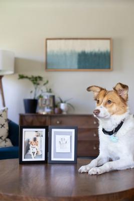 Show full view: Pearhead Pet Paw Print Photo Frame with Clay Imprint Kit, Black slide 7 of 8