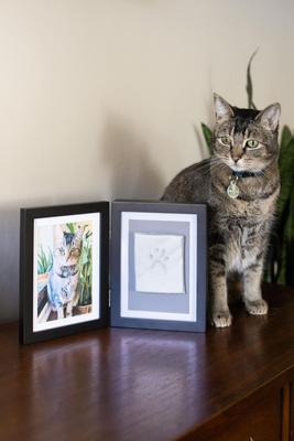 Show full view: Pearhead Pet Paw Print Photo Frame with Clay Imprint Kit, Black slide 6 of 8