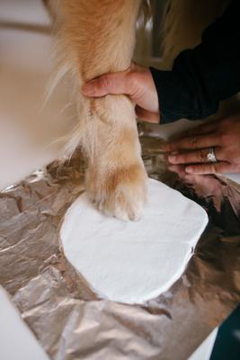 Show full view: Pearhead Pet Pawprints Desk Frame Kit slide 4 of 8