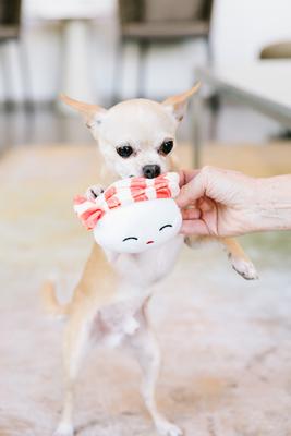 Show full view: Pearhead Sushi Bento Dog Toys, 3 count slide 3 of 8