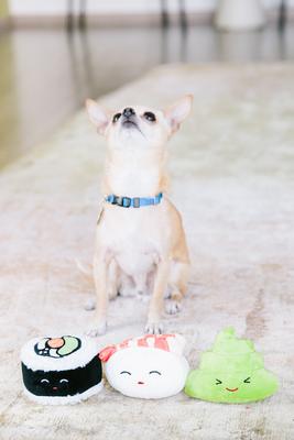 Show full view: Pearhead Sushi Bento Dog Toys, 3 count slide 5 of 8