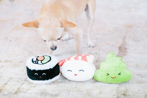 Show full view: Pearhead Sushi Bento Dog Toys, 3 count slide 6 of 8