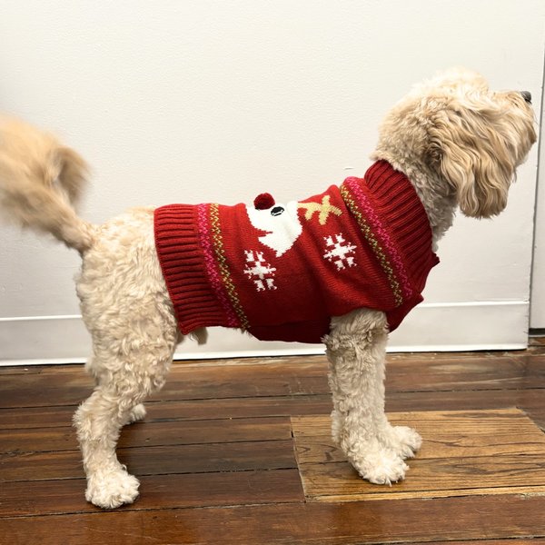 Show full view: Pebot Abby Holiday Dog & Cat Sweater, Red, Medium slide 2 of 3