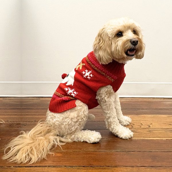 Show full view: Pebot Abby Holiday Dog & Cat Sweater, Red, Medium slide 3 of 3