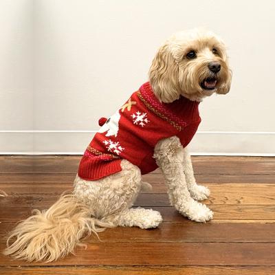 Show full view: Pebot Christmas Abby Holiday Dog & Cat Sweater, Red, Small slide 3 of 3