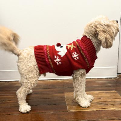 Show full view: Pebot Christmas Abby Holiday Dog & Cat Sweater, Red, X-Small slide 2 of 3