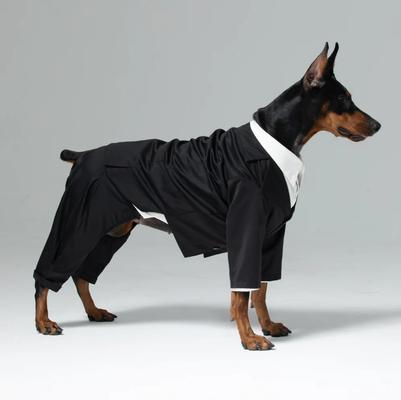 Show full view: Pebot Ace Dog & Cat Blazer, Black, 10 slide 2 of 5