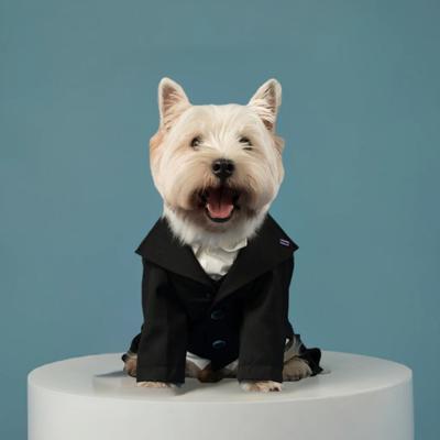 Show full view: Pebot Ace Dog & Cat Blazer, Black, 20 slide 4 of 5