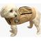 Show in main carousel: Pebot Akira Dog & Cat Travel Vest, Tan, 20 slide 2 of 2