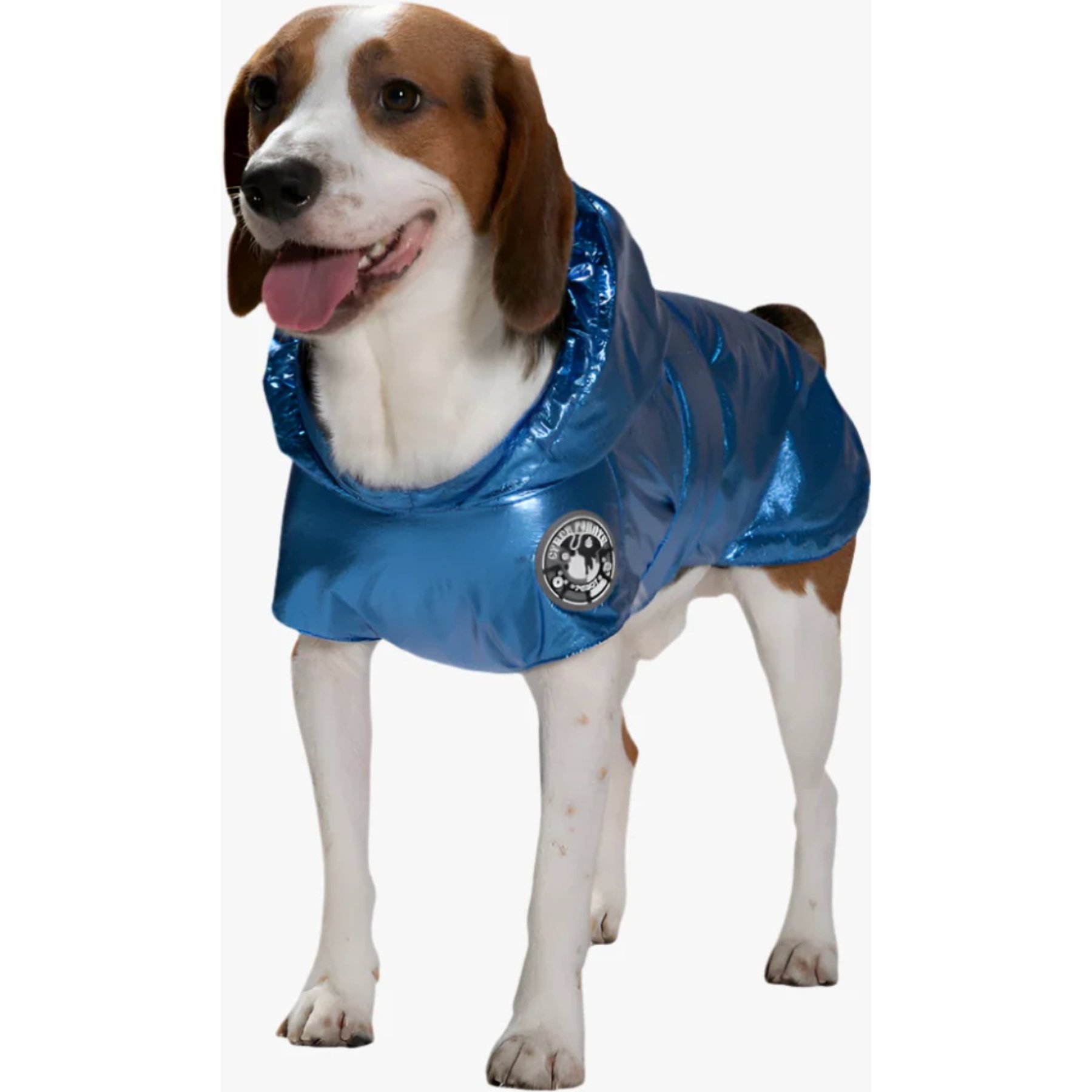 Pebot Alita Hooded Dog & Cat Raincoat, Metallic Blue, 10