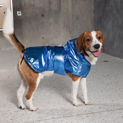 Show full view: Pebot Alita Hooded Dog & Cat Raincoat, Metallic Blue, 12 slide 3 of 5