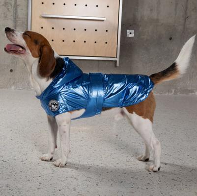 Show full view: Pebot Alita Hooded Dog & Cat Raincoat, Metallic Blue, 12 slide 2 of 5