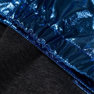 Show full view: Pebot Alita Hooded Dog & Cat Raincoat, Metallic Blue, 18 slide 4 of 5