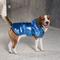 Show in main carousel: Pebot Alita Hooded Dog & Cat Raincoat, Metallic Blue, 18 slide 3 of 5